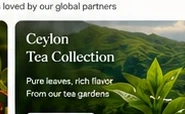 Ceylon Tea vs Other Origins: The Complete Buyer's Guide