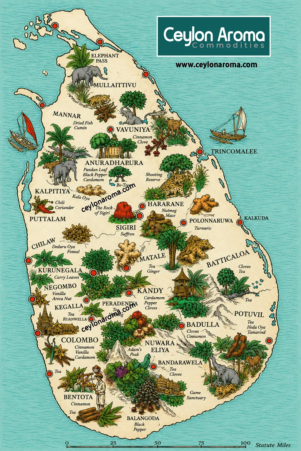 How to Start an Import Business from Sri Lanka: Complete Guide