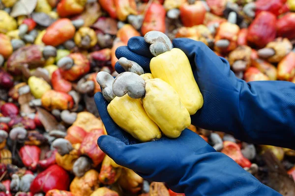 Dates & Nuts