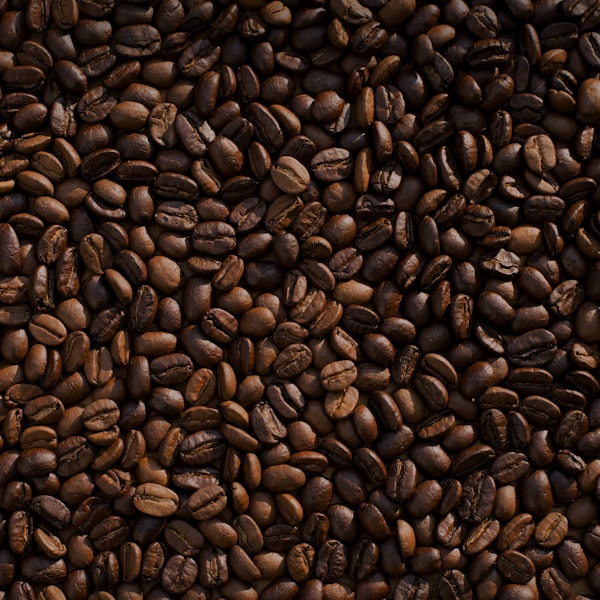 Ceylon Classic Coffee — Roasted Beans